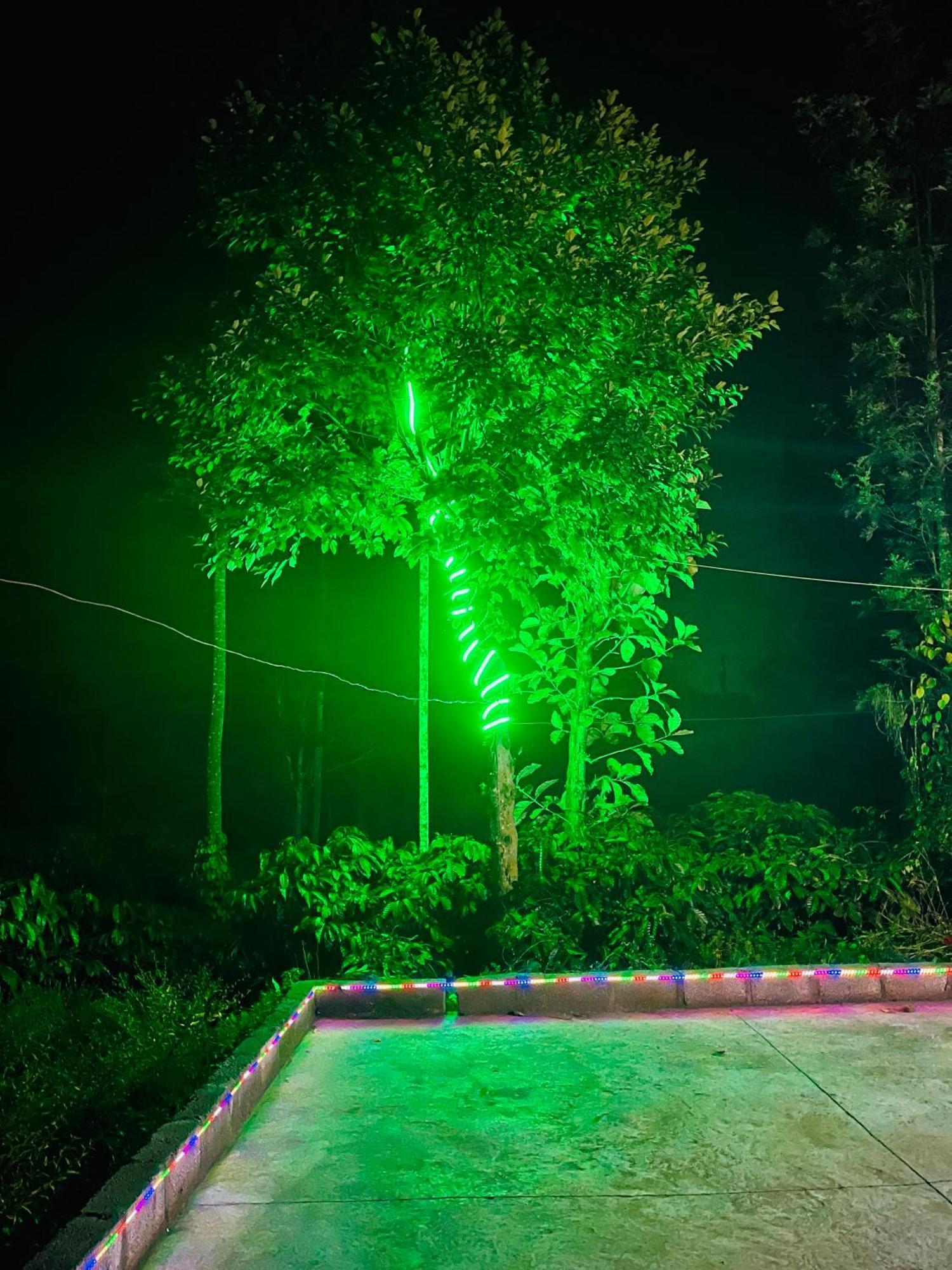 Preetham Homestay Kushālnagar Extérieur photo
